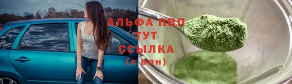 mdpv Белокуриха