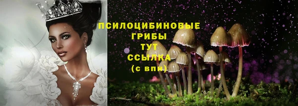соль ск Белоозёрский