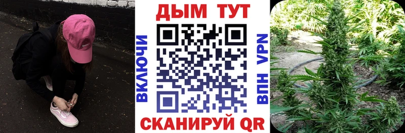 Шишки марихуана марихуана  Приволжский 